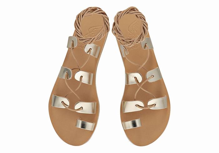 Sandales De Gladiateur Ancient Greek Sandals Alcyone Leather   | FOM-9118385